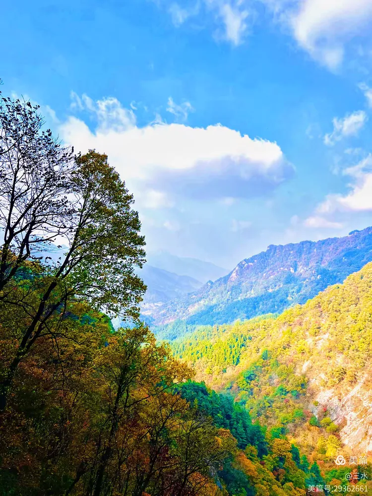 层林尽染秋山图 ‍